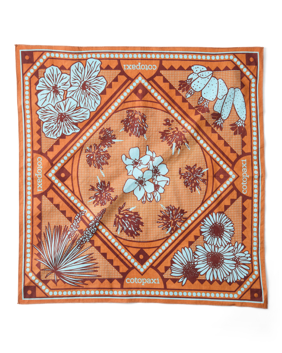 Organic Cotton Bandana - Desert llama - US 0341