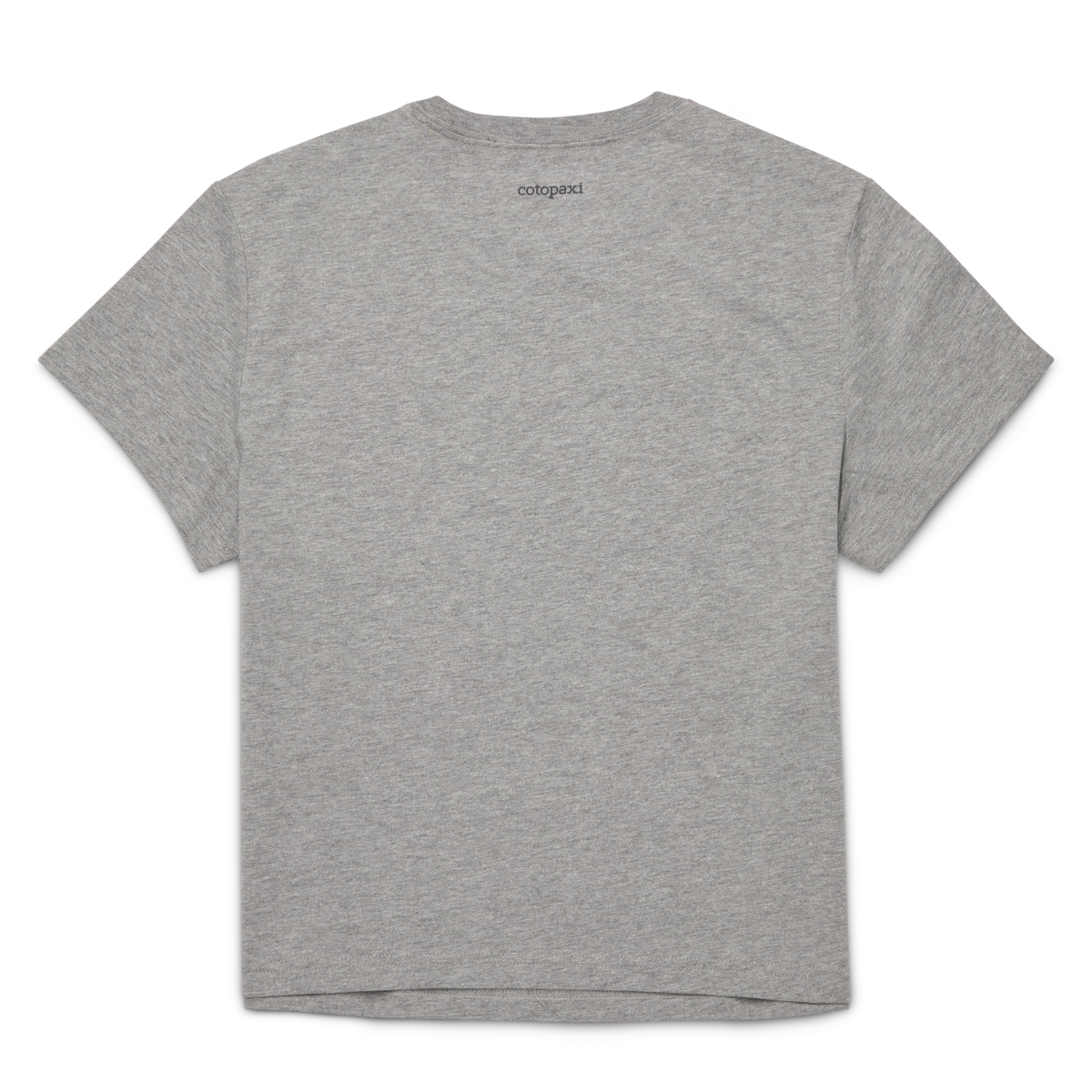 Llama Icon T-Shirt - Women's - Heather Grey - US 3010