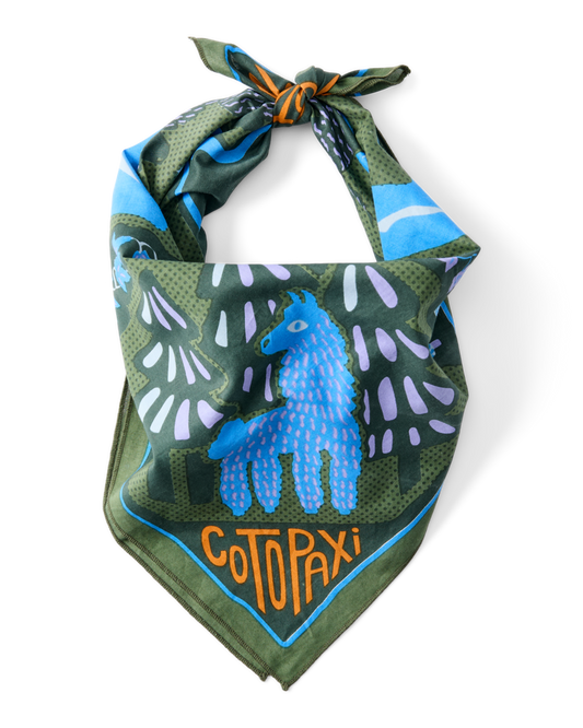 Organic Cotton Bandana - Llama Camp Bandana - US 8215